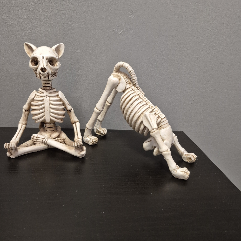 Skeleton Cat And Dog Yoga Figurines